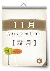 11月