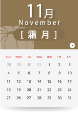 11月