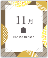 11月