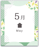 5月